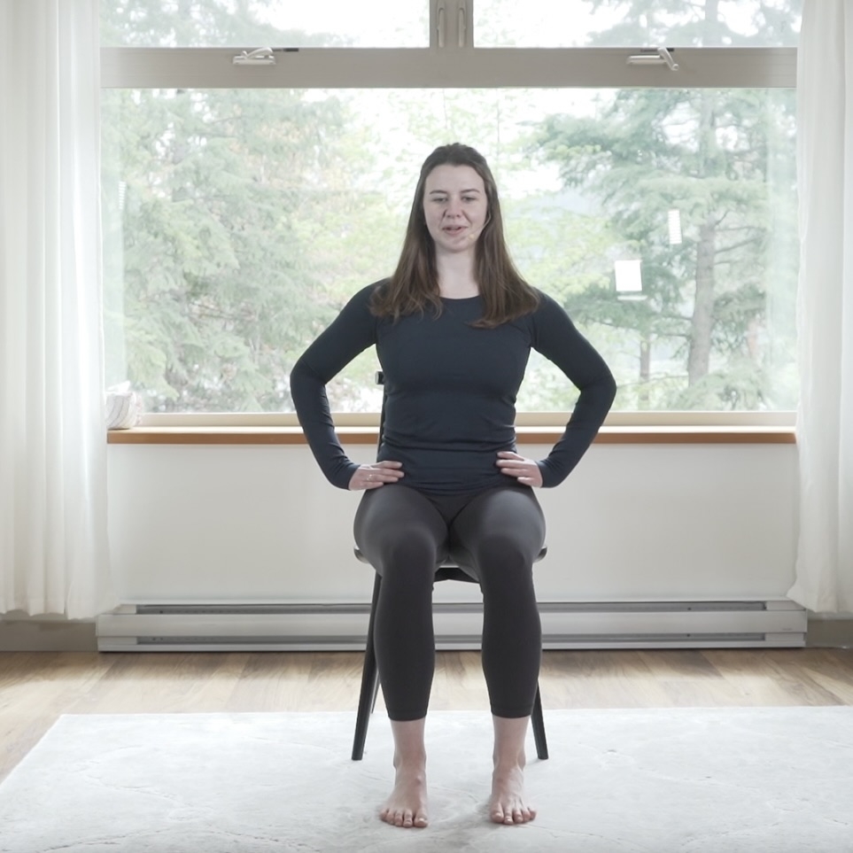 Printable Chair Exercise Routine For Seniors With Pictures