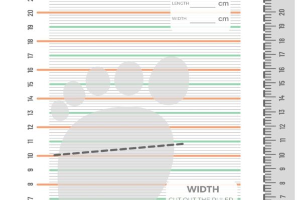 Printable Measuring Gauge