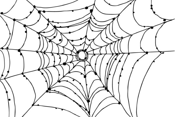 Printable Spiders Web Printable Party Favors