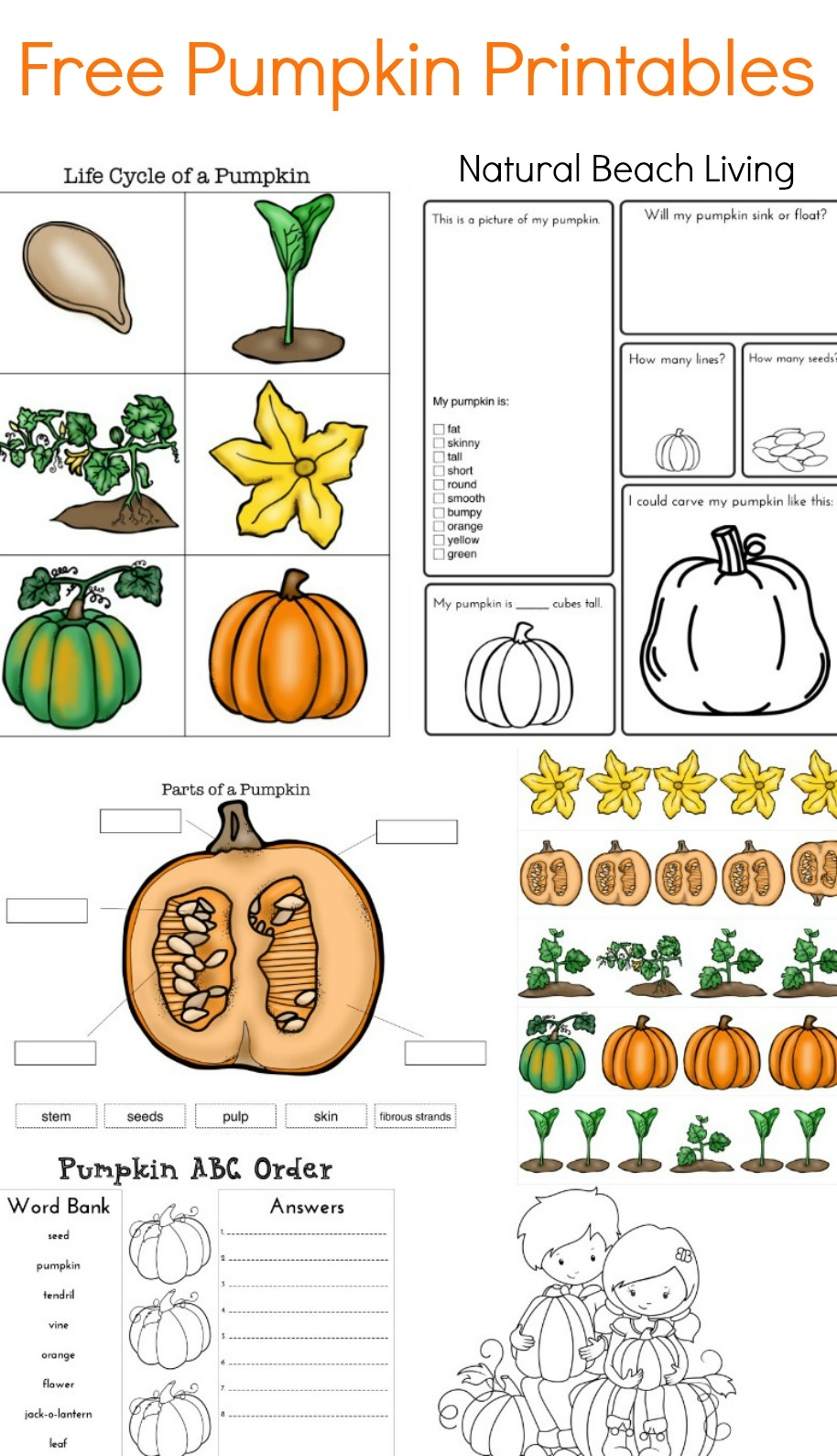Pumpkin Activities For Kids Pumpkin Lesson Plans STEM 