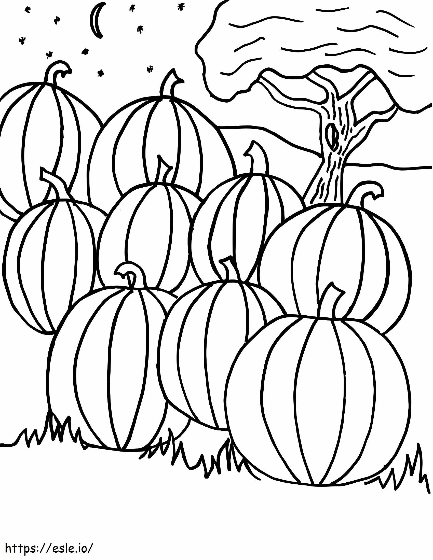 Free Printable Pumpkin Patch Coloring Pages