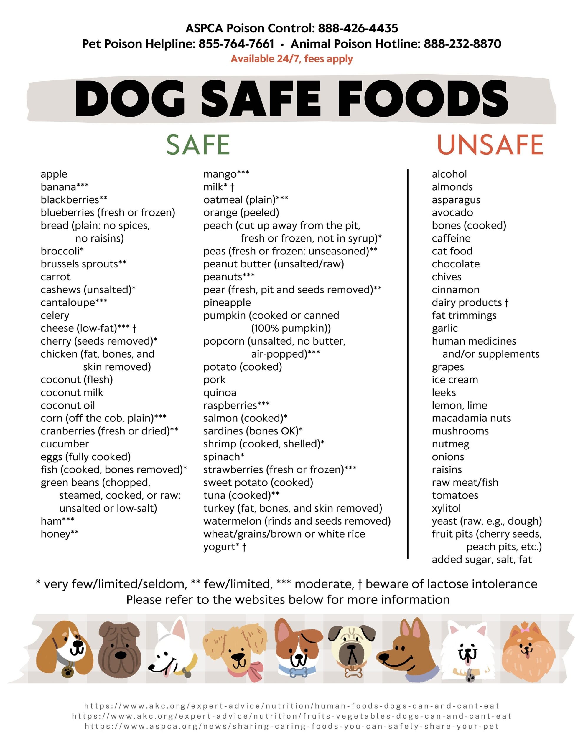 Safe Dog Food List Store