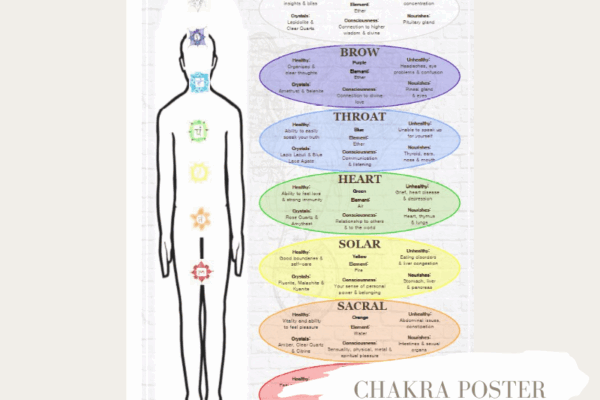 Simple Chakra Reference Chart With Chakra Consciousness Della Reside