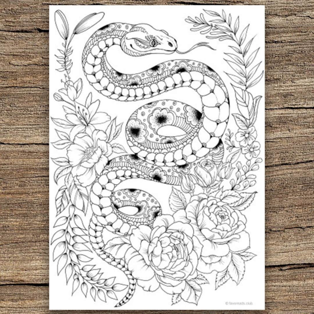 Snake Printable Adult Coloring Page From Favoreads coloring Book Pages For Adults And Kids Coloring Sheets Colouring Designs Etsy Australia
