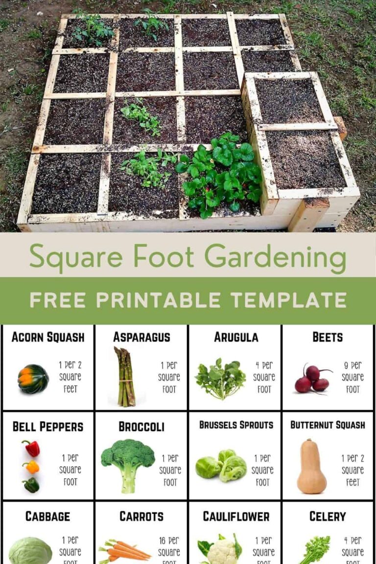 Square Foot Gardening With A Free Printable Template East Fork Growing