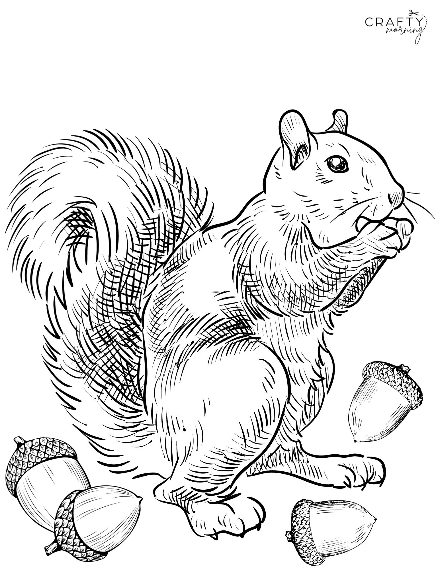 Free Printable Coloring Pages Of Squirrels