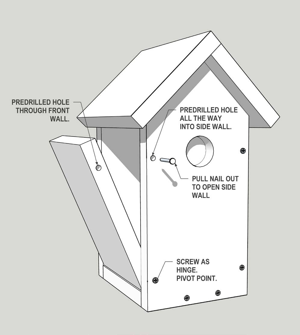Three Designed Birdhouse Plans For Eastern Bluebirds Oklahoma 