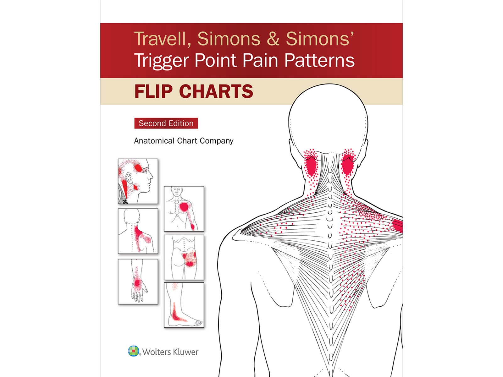Printable Trigger Points Chart