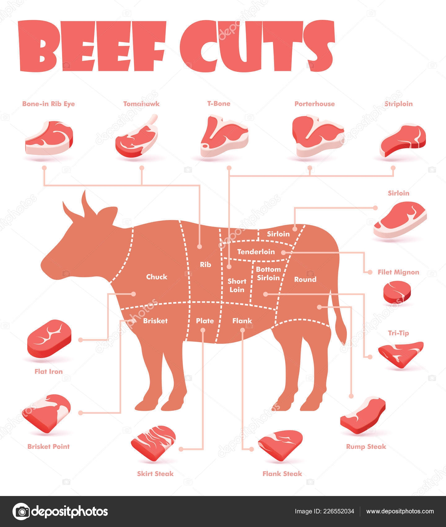 Vector Beef Cuts Chart Stock Vector By tele52 226552034