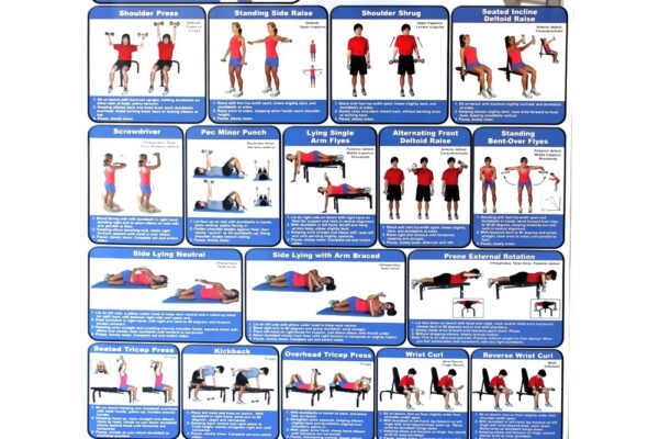 Workout Poster Dumbbell Exercises Vive Health Worksheets Library