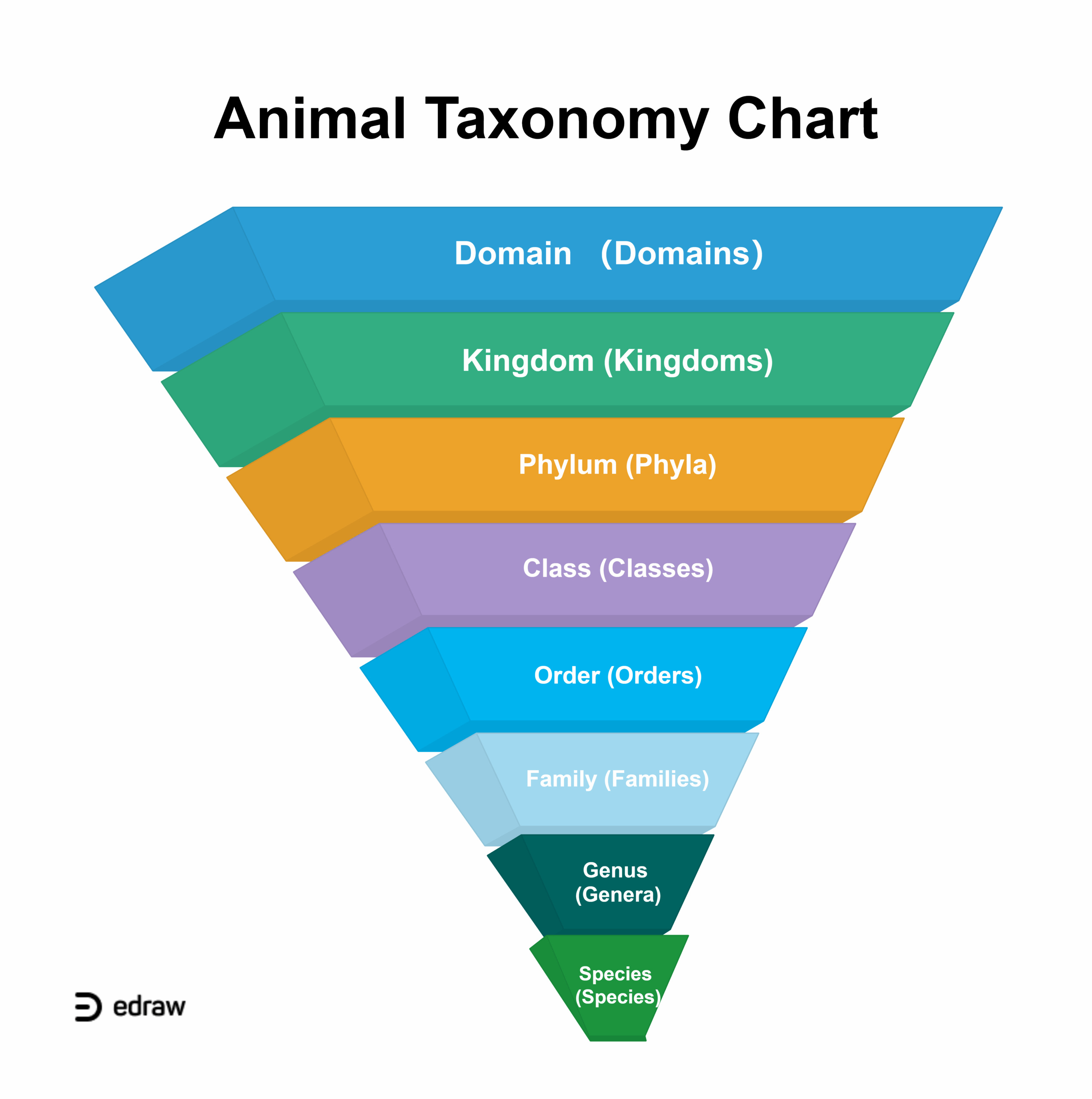 31 Taxonomy Chart U0026 Templates EdrawMax Editable 31 Taxonomy Chart U0026 Templates EdrawMax Editable