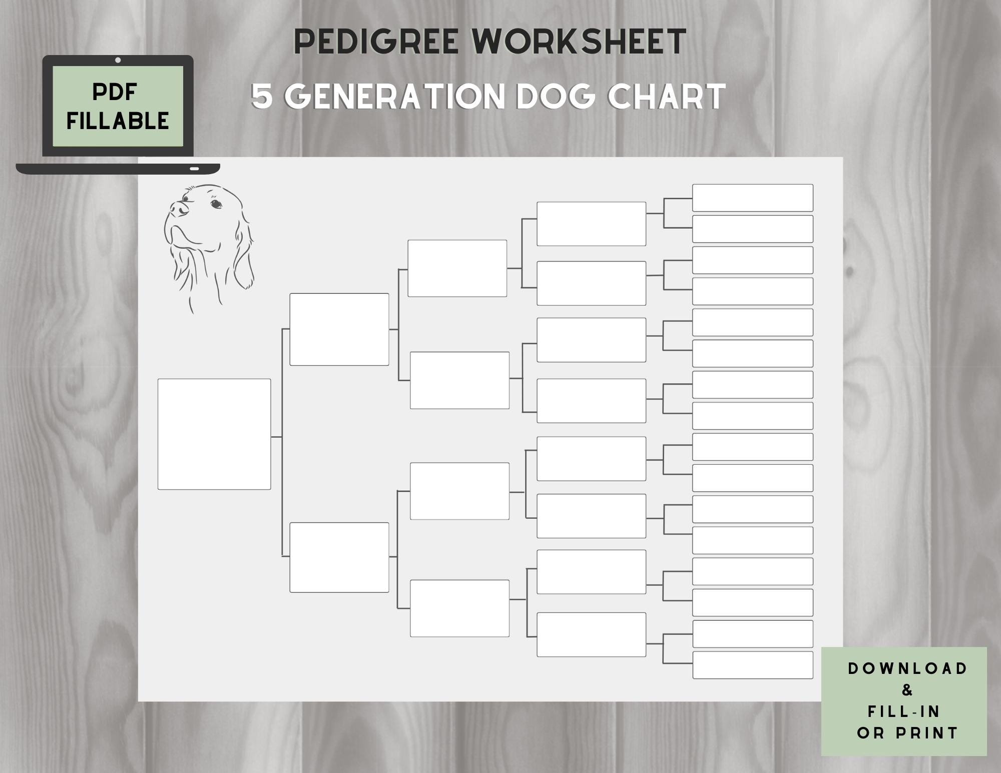 Dog Pedigree Chart 5 Generations On One Page Fillable PDF Etsy Dog Pedigree Chart 5 Generations On One Page Fillable PDF Etsy