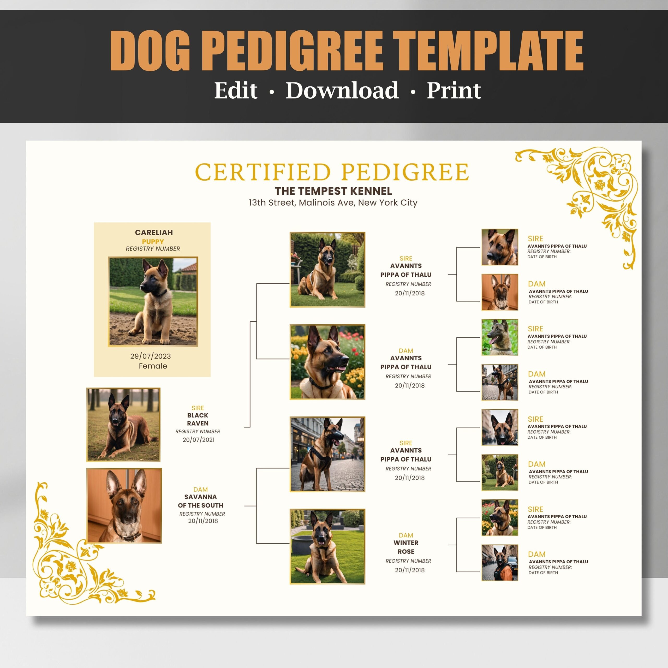 Dog Pedigree Chart Printable Pedigree Certificate Puppy Pedigree Dog Pedigree Chart Printable Pedigree Certificate Puppy Pedigree