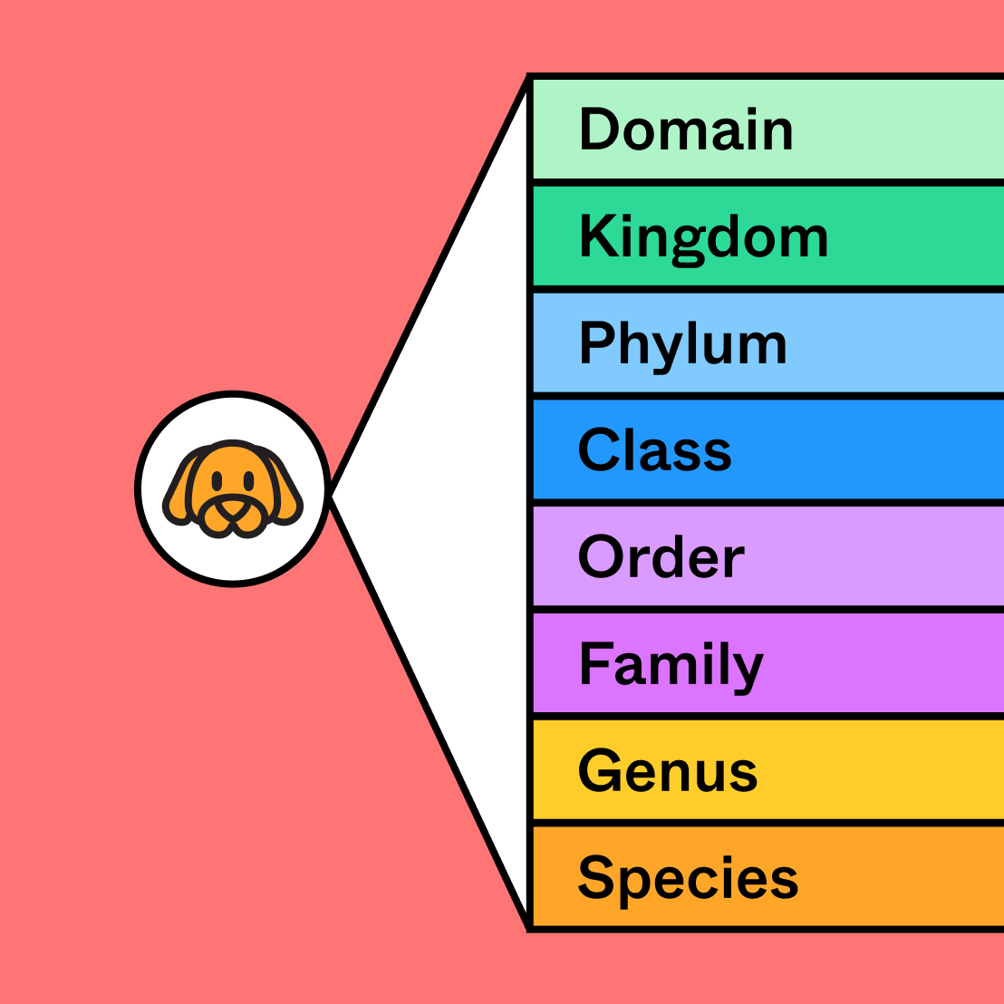 Taxonomy Diagram Free Chart Template FigJam Taxonomy Diagram Free Chart Template FigJam