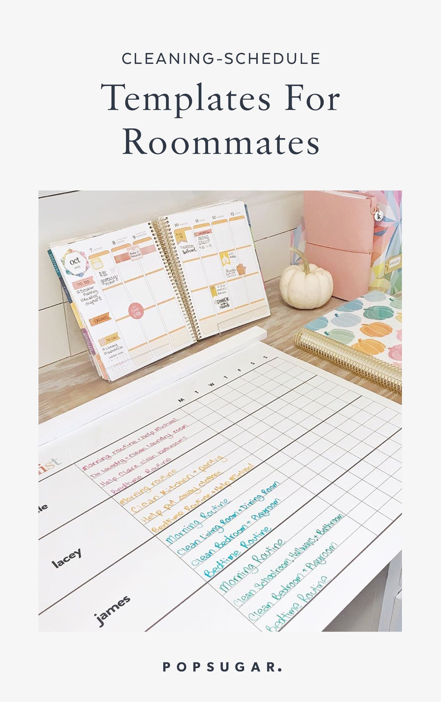 Roommate Cleaning Chart Template