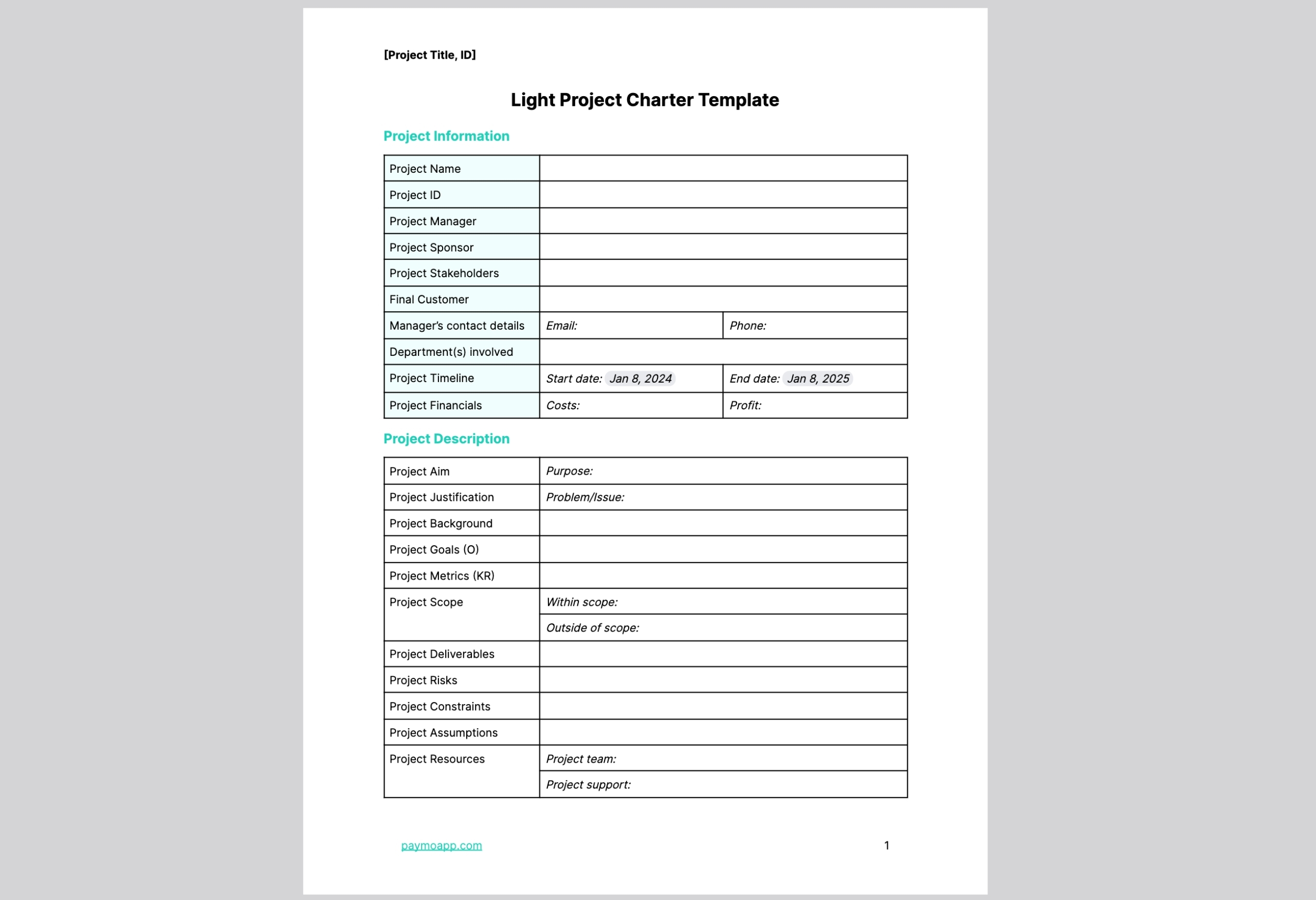 What Is A Project Charter Example Free Template