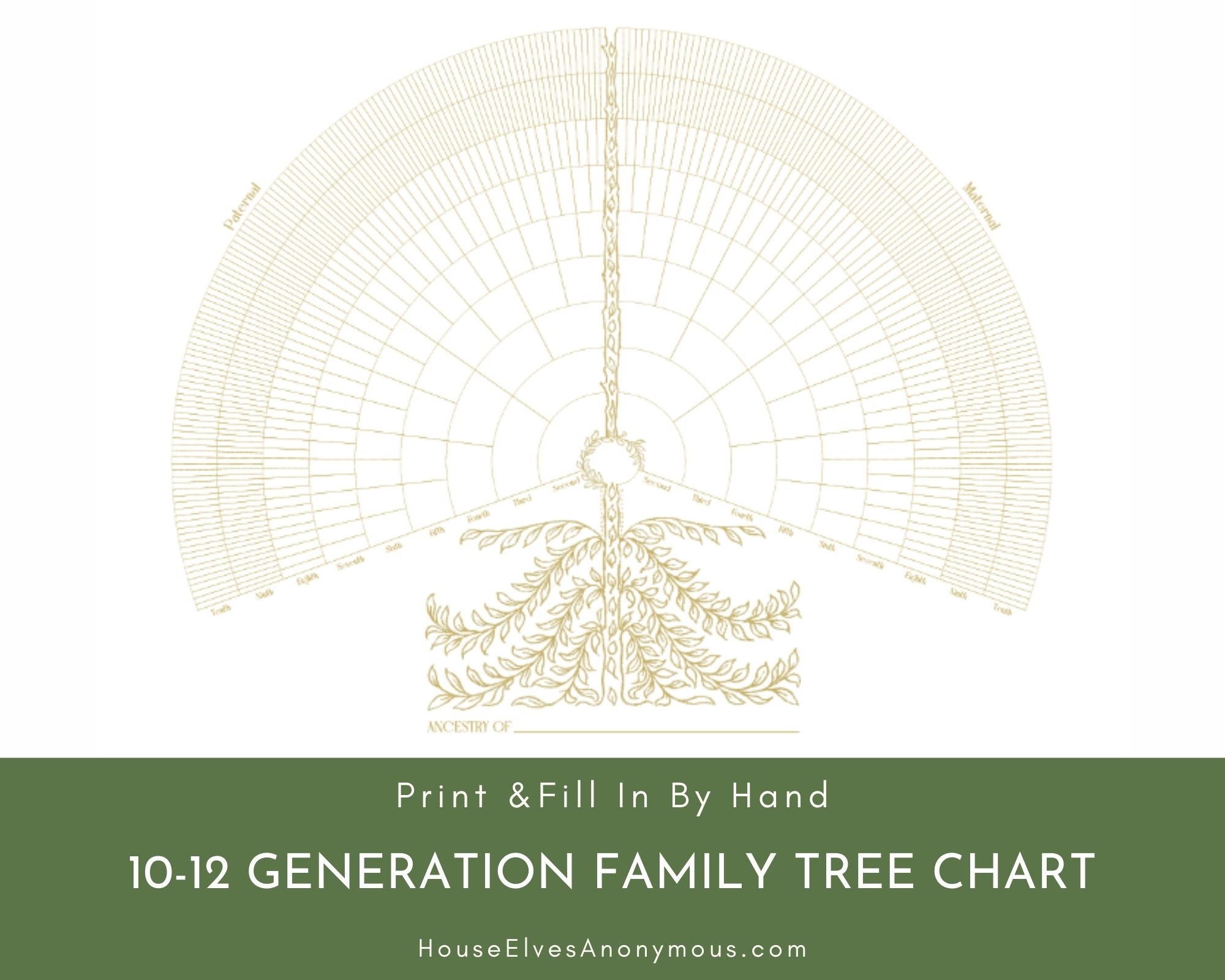 10 12 Generation Family Tree Printable GOLD 