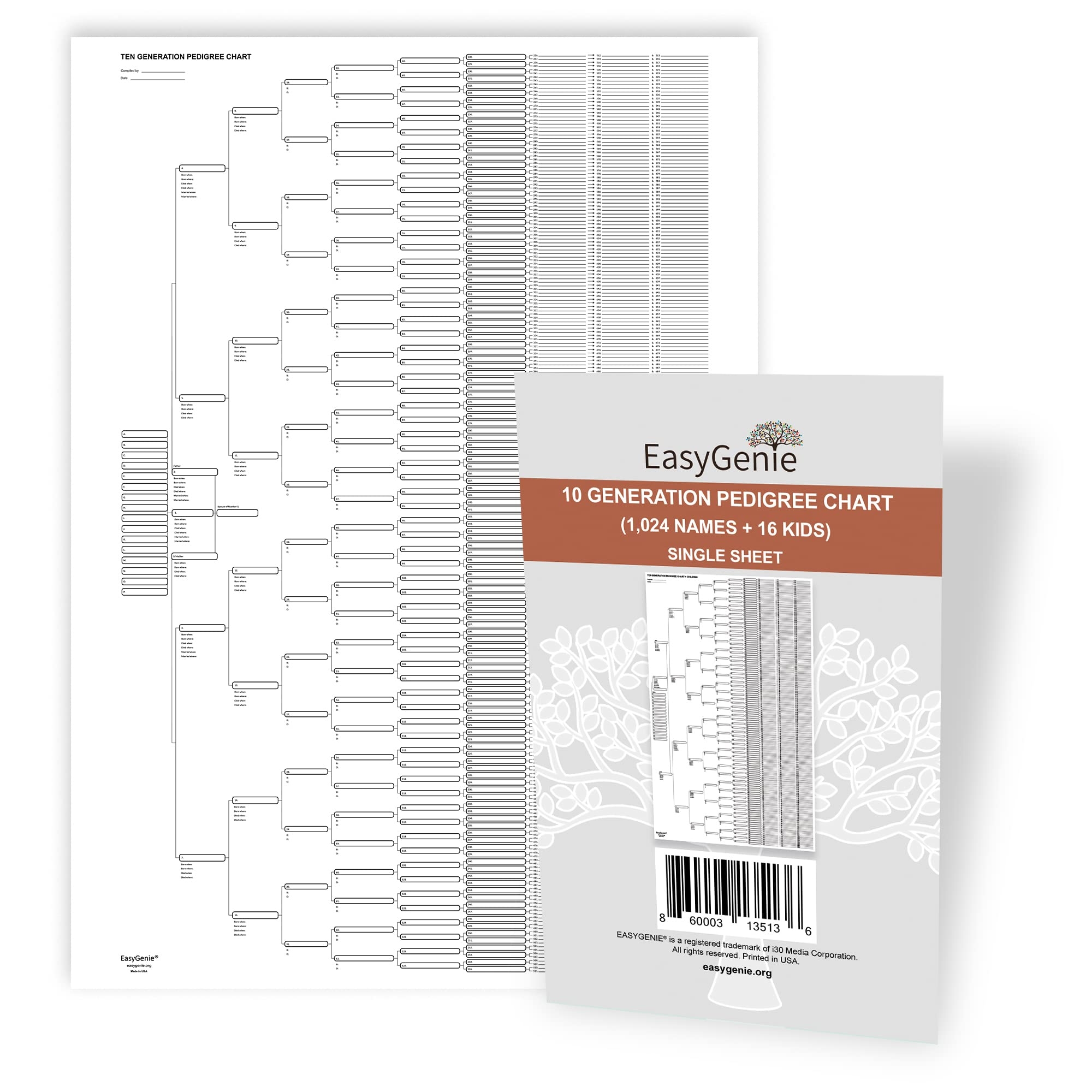 10 Generation Blank Pedigree Chart Single Sheet Archival Quality Genealogy Form EBay 10 Generation Blank Pedigree Chart Single Sheet Archival Quality Genealogy Form EBay