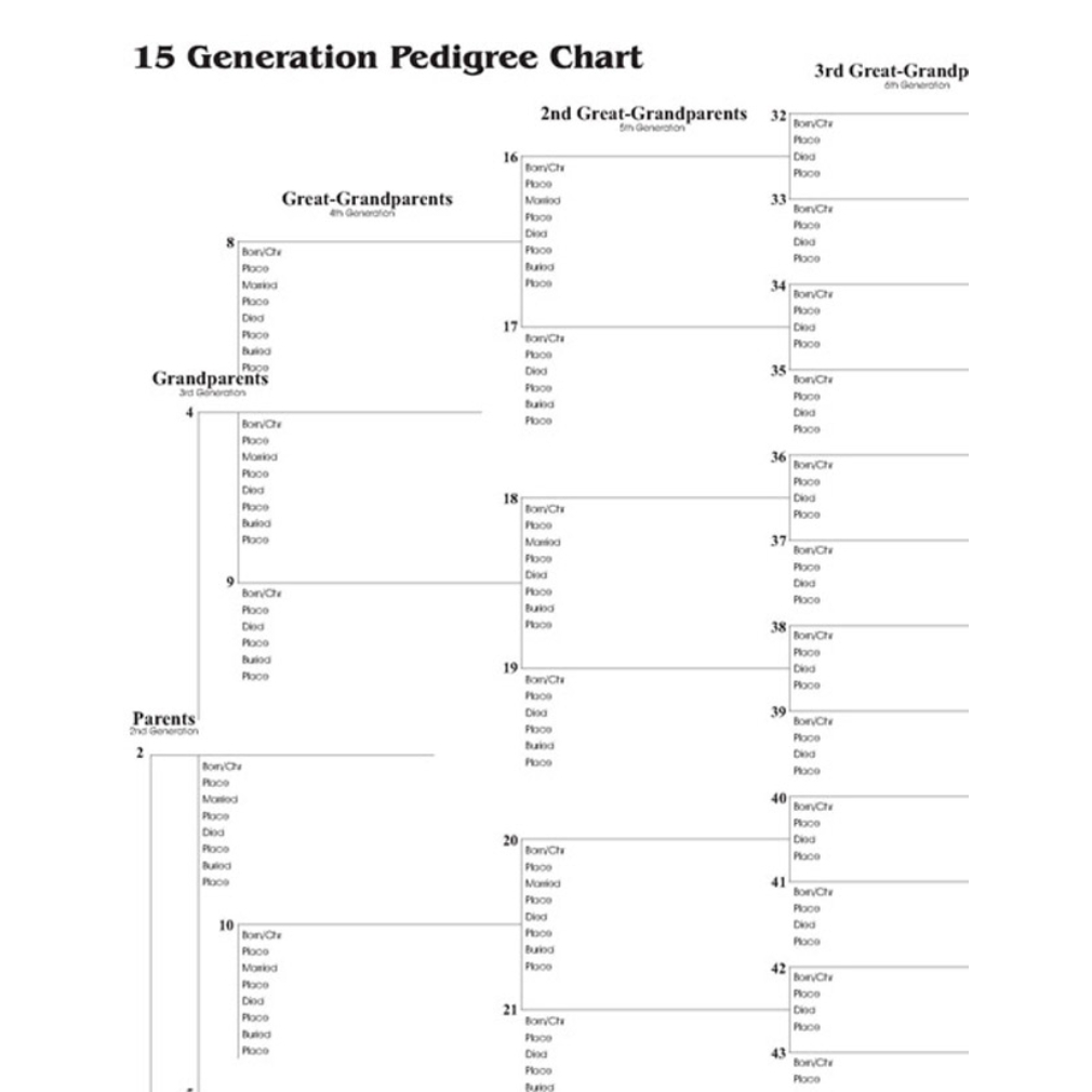 12 Generation Pedigree Chart Single In LDS Temple Gifts On LDSBookstore
