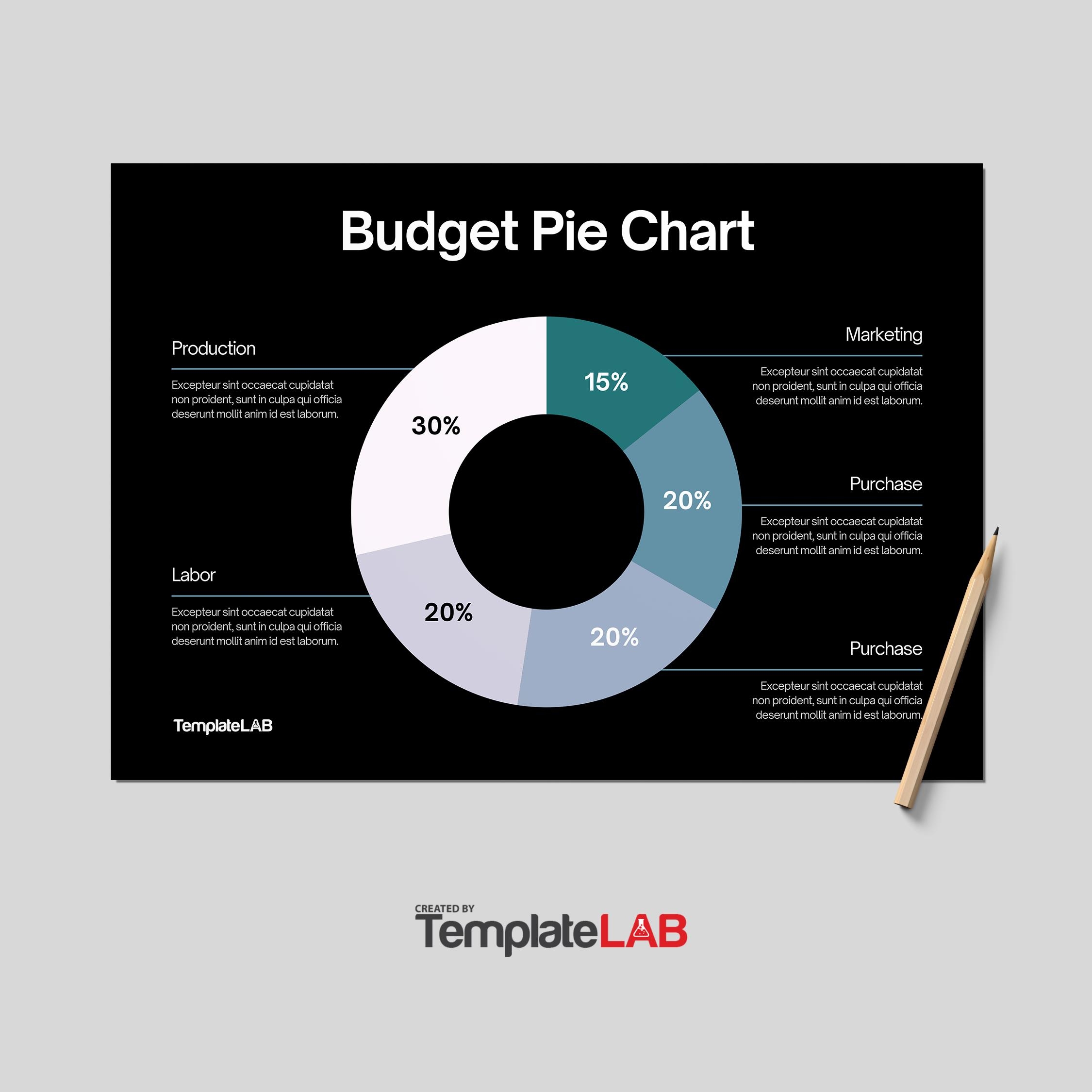18 Free Pie Chart Templates Word Excel PDF PowerPoint TemplateLab 18 Free Pie Chart Templates Word Excel PDF PowerPoint TemplateLab