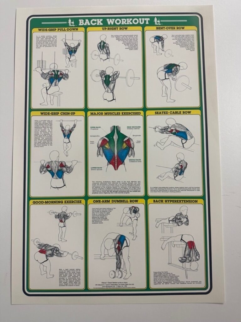 1984 Vintage Bruce Algra Fitness Back Workout Poster Fitnus Chart Series EBay