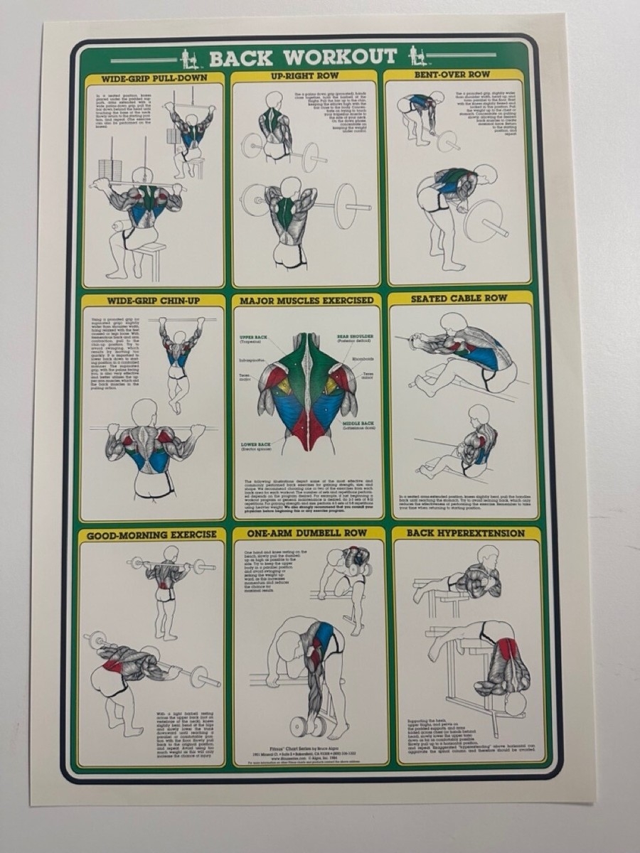 1984 Vintage Bruce Algra Fitness Back Workout Poster Fitnus Chart Series EBay