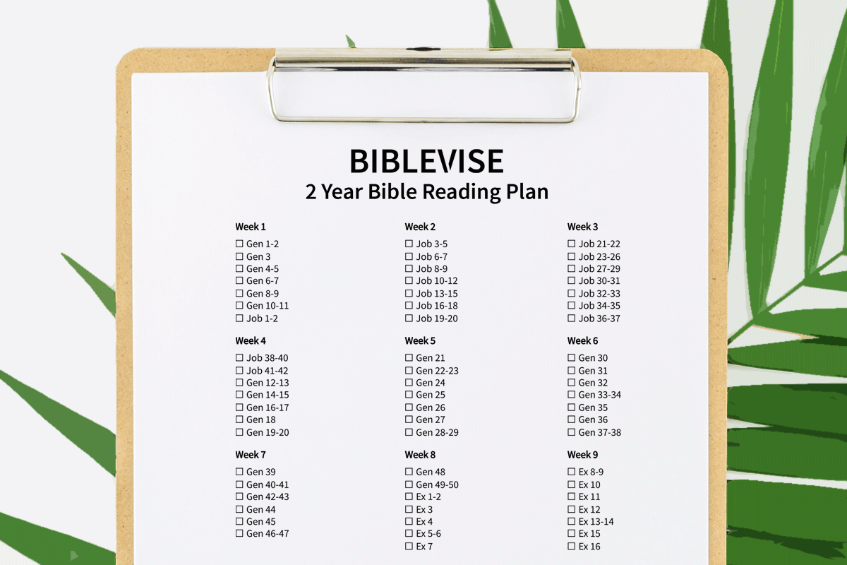 2 Year Bible Reading Plan With Printable PDF 