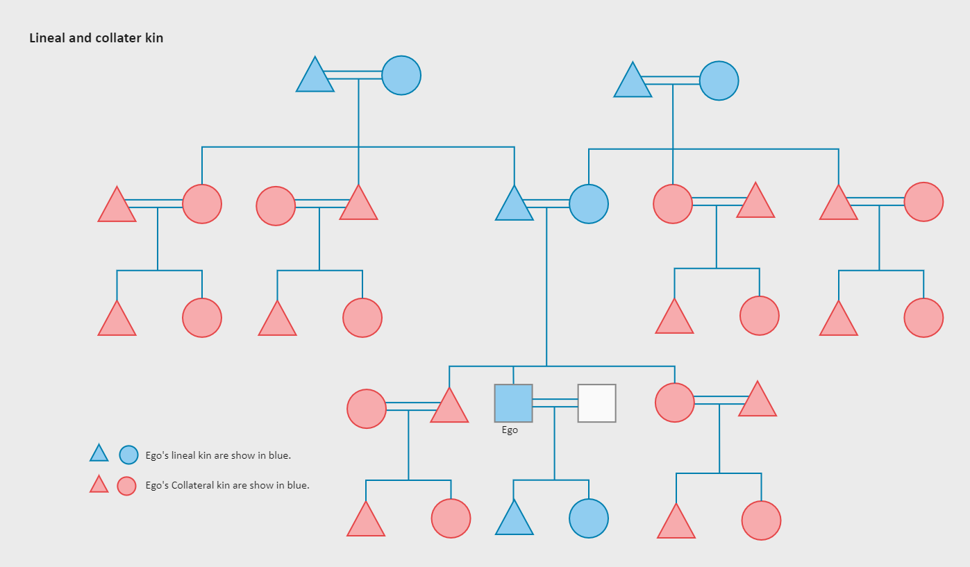 3 Generations Kinship Chart EdrawMax Template 3 Generations Kinship Chart EdrawMax Template