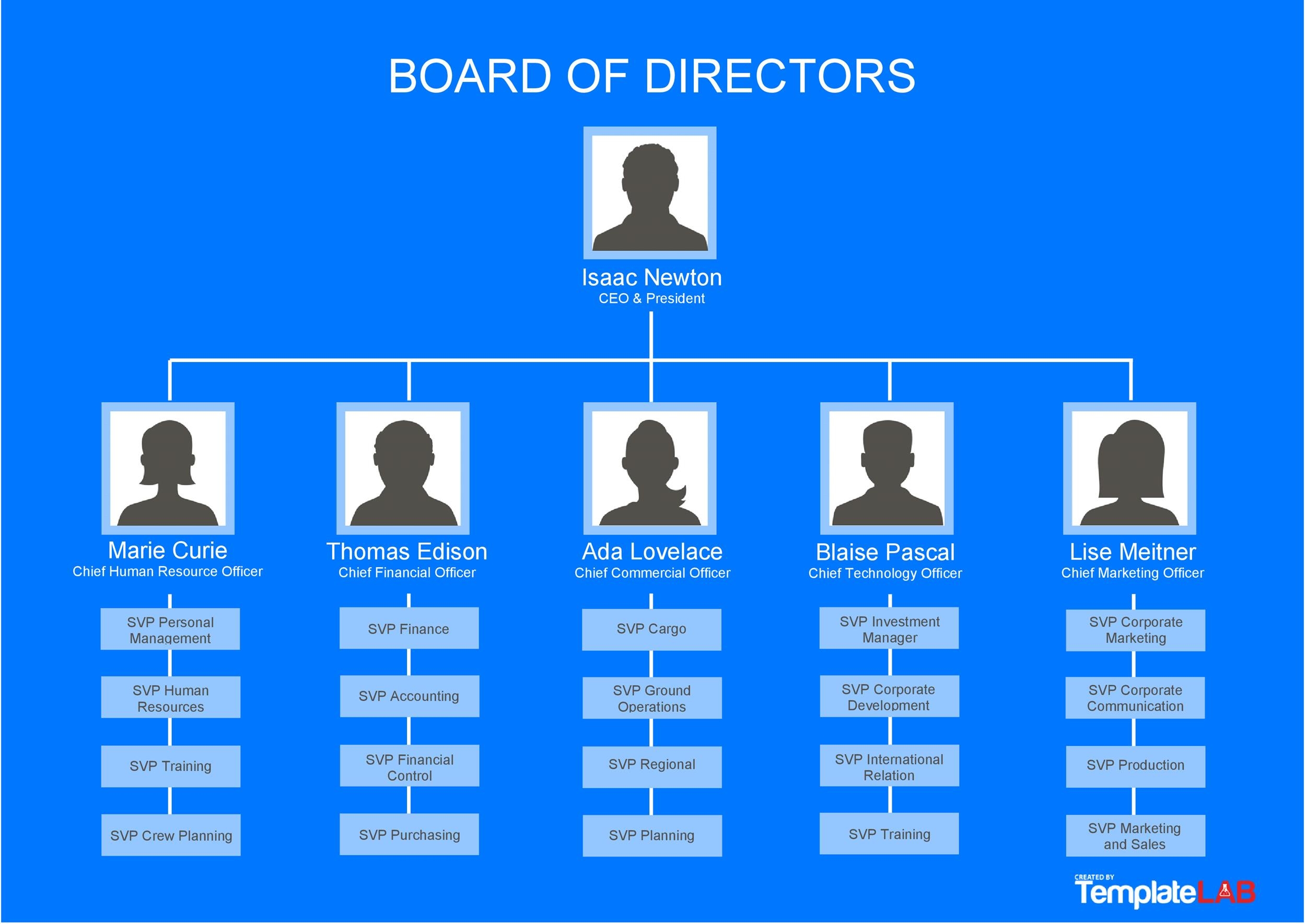 41 Organizational Chart Templates Word Excel PowerPoint PSD 