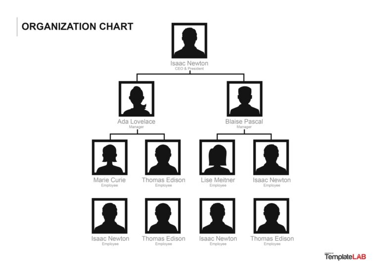 41 Organizational Chart Templates Word Excel PowerPoint PSD 