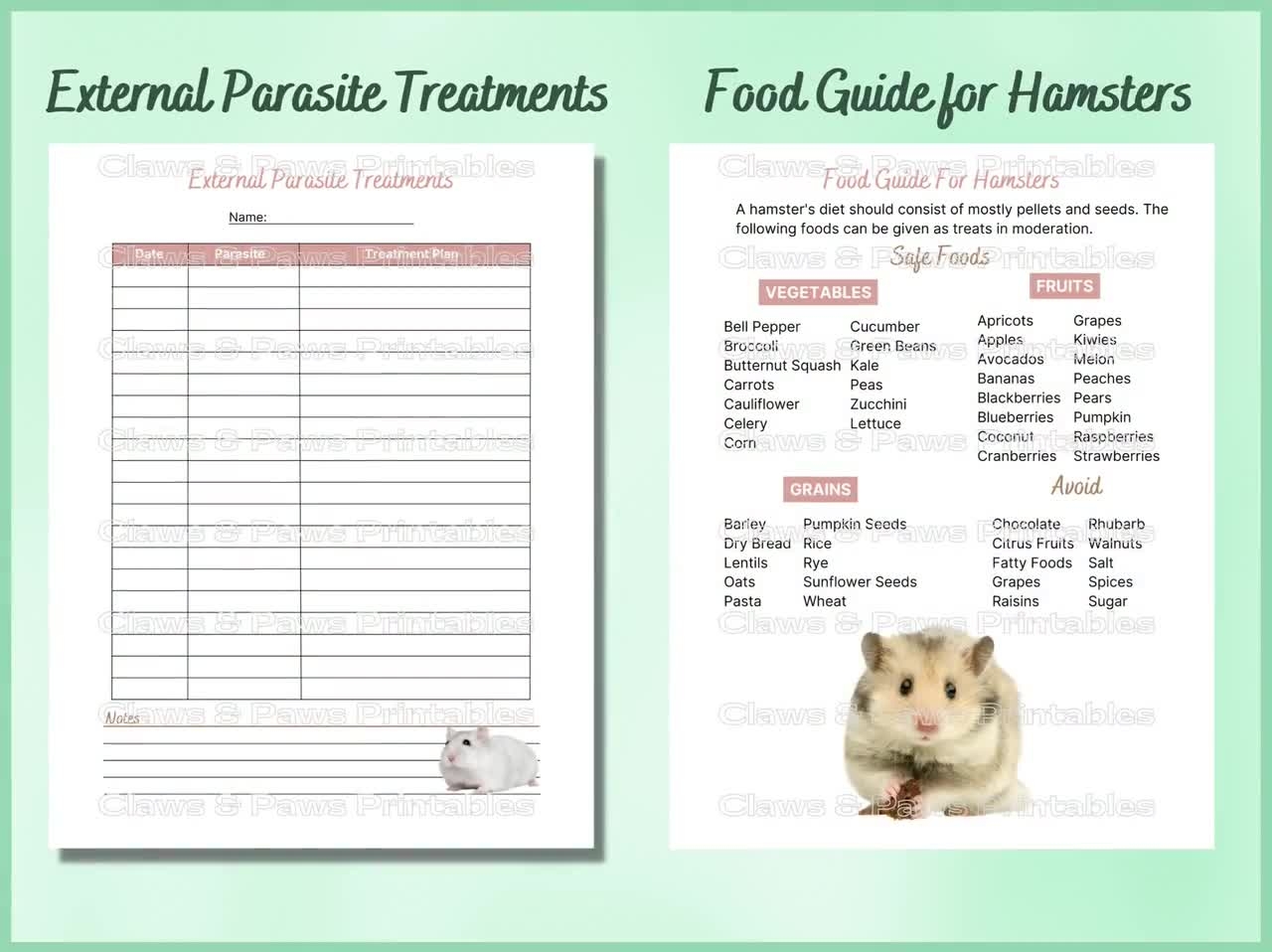 Best Hamster Care Sheet Online Best Hamster Care Sheet Online
