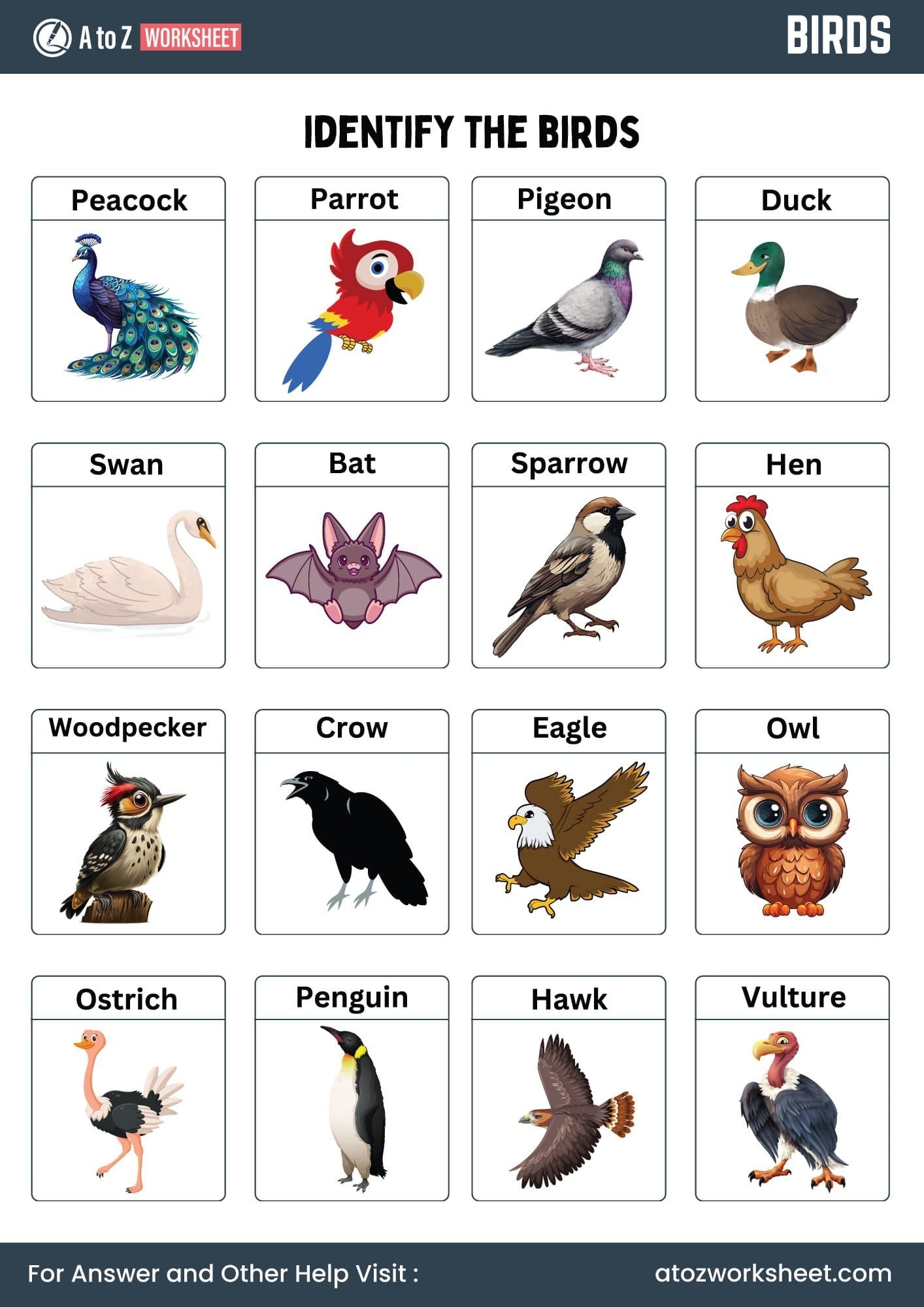 Birds Worksheet For Kindergarten And Nursery Kids Free Printable PDF Activities A To Z Worksheet Birds Worksheet For Kindergarten And Nursery Kids Free Printable PDF Activities A To Z Worksheet