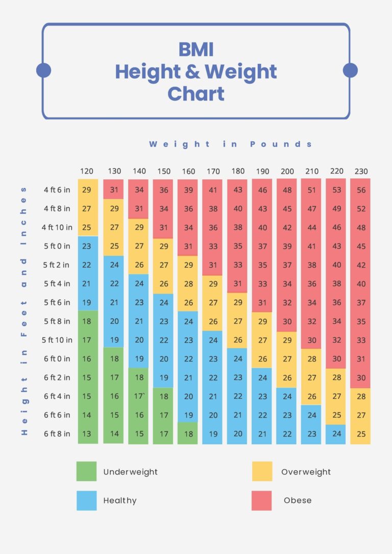 BMI Height Weight Chart In PDF Download Template