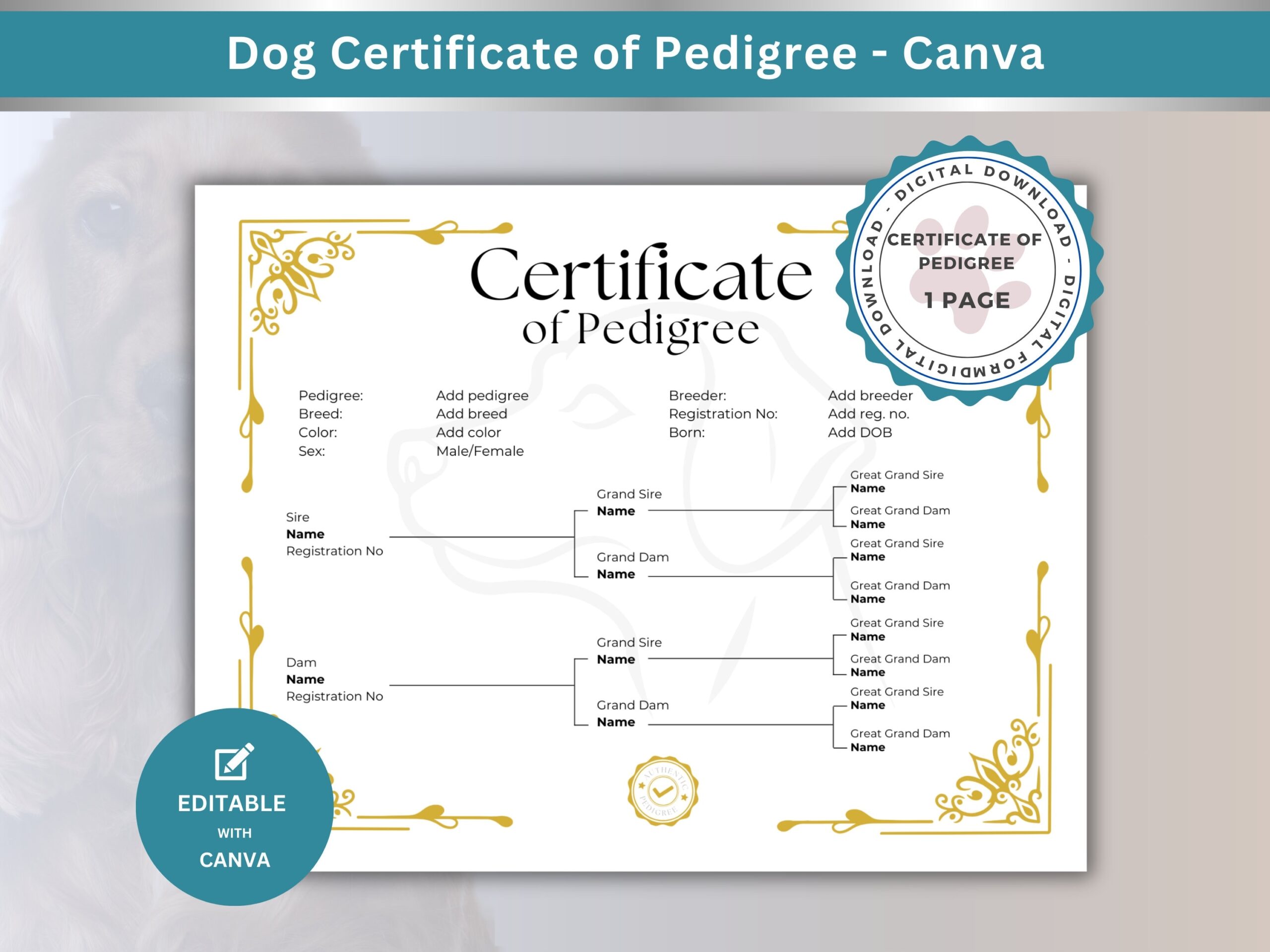 Certificate Of Pedigree That Shows 3 Generations Of Traceable Bloodlines For Dog Breeding Business Proof Of Lineage Certified Pedigree Canva Etsy
