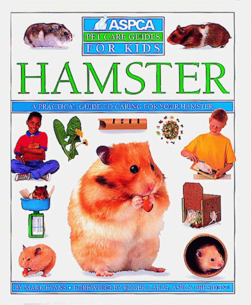 Clearance Hamster Care For Kids Factory Sale Black Friday Clearance Hamster Care For Kids Factory Sale Black Friday