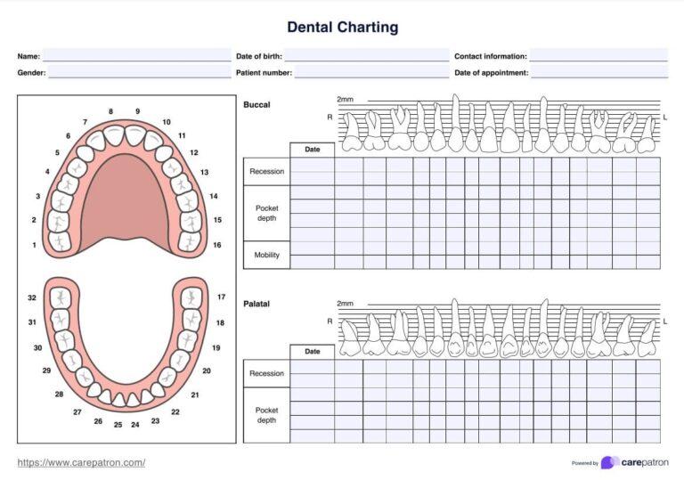 Dental Charting Template