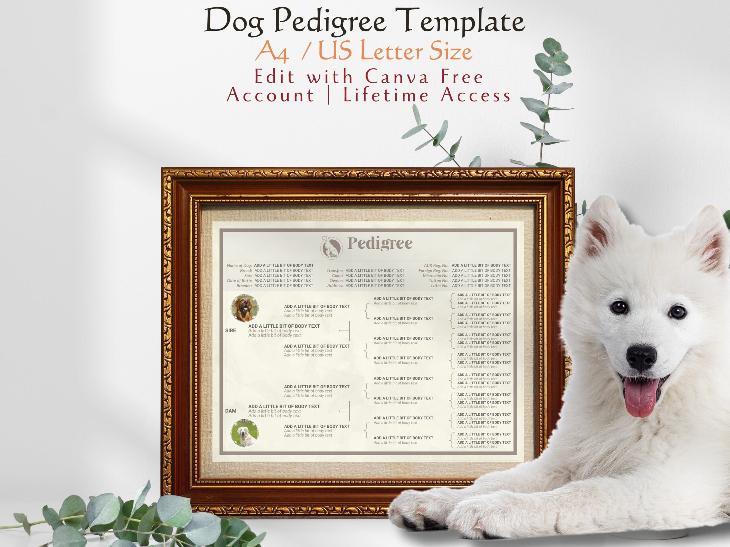 Dog Pedigree Template Editable Pedigree A4 US Letter Size Dog Breeder s Printable Puppy Pedigree Breeder s Template Canine Pedigree Etsy