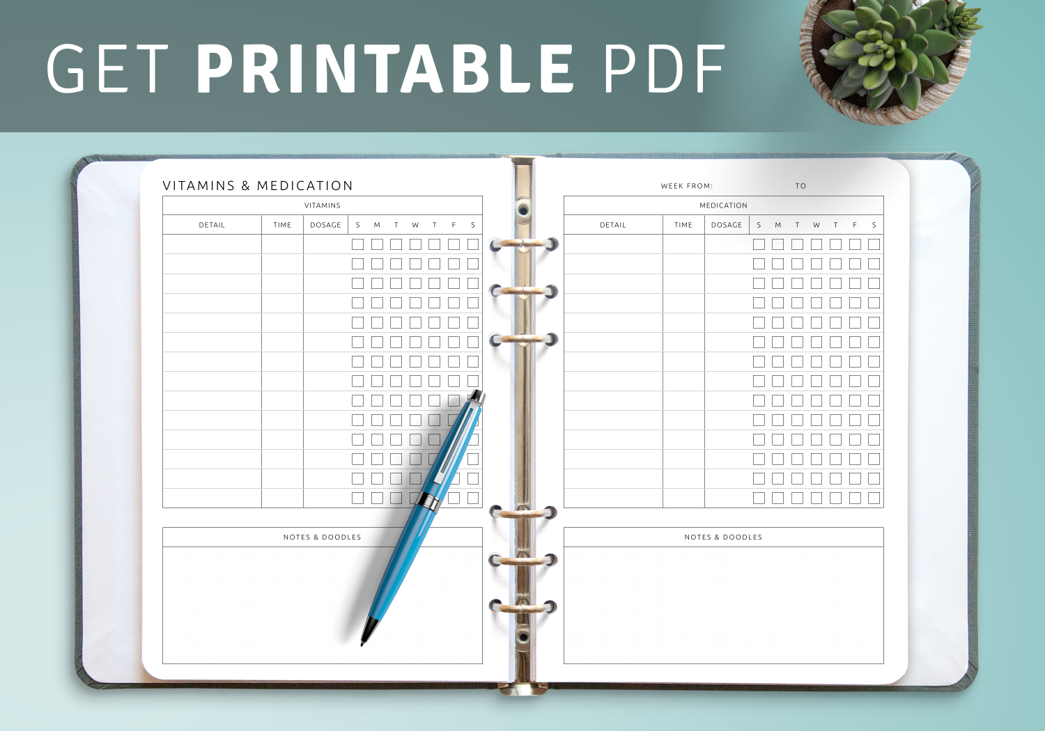 Download Printable Vitamins U0026 Medication Template PDF Download Printable Vitamins U0026 Medication Template PDF
