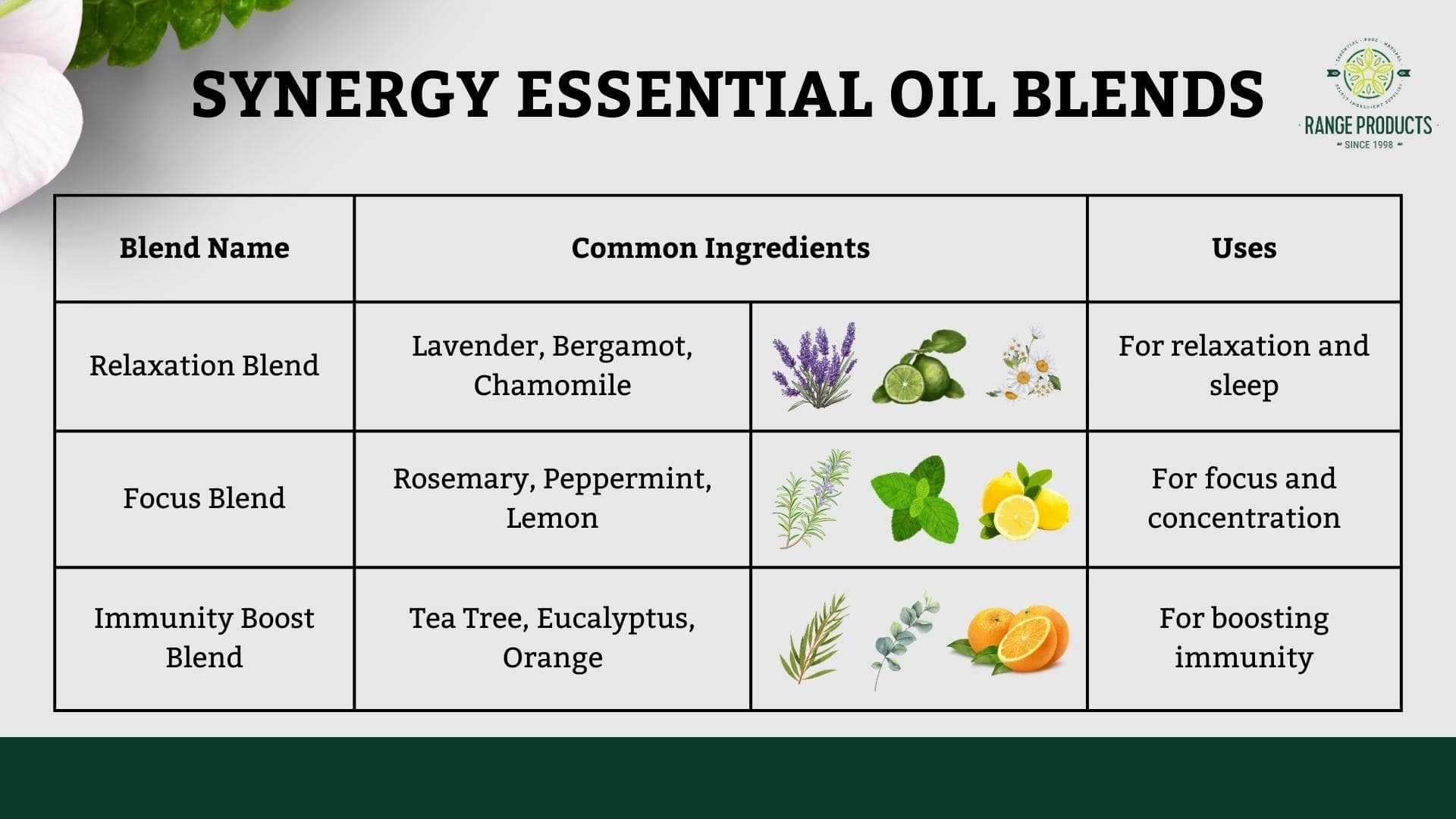 Free Printable Aromatherapy Charts