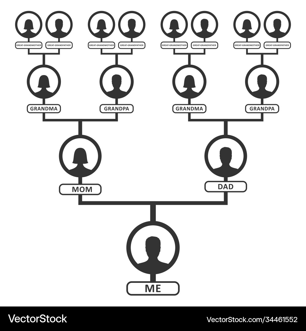 Family Tree Pedigree Or Ancestry Chart Template Vector Image