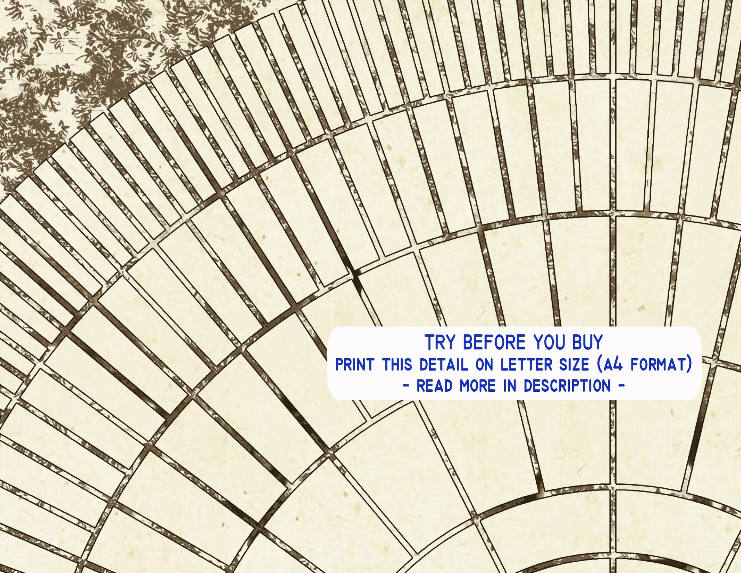 Fan Family Tree Best Ideas