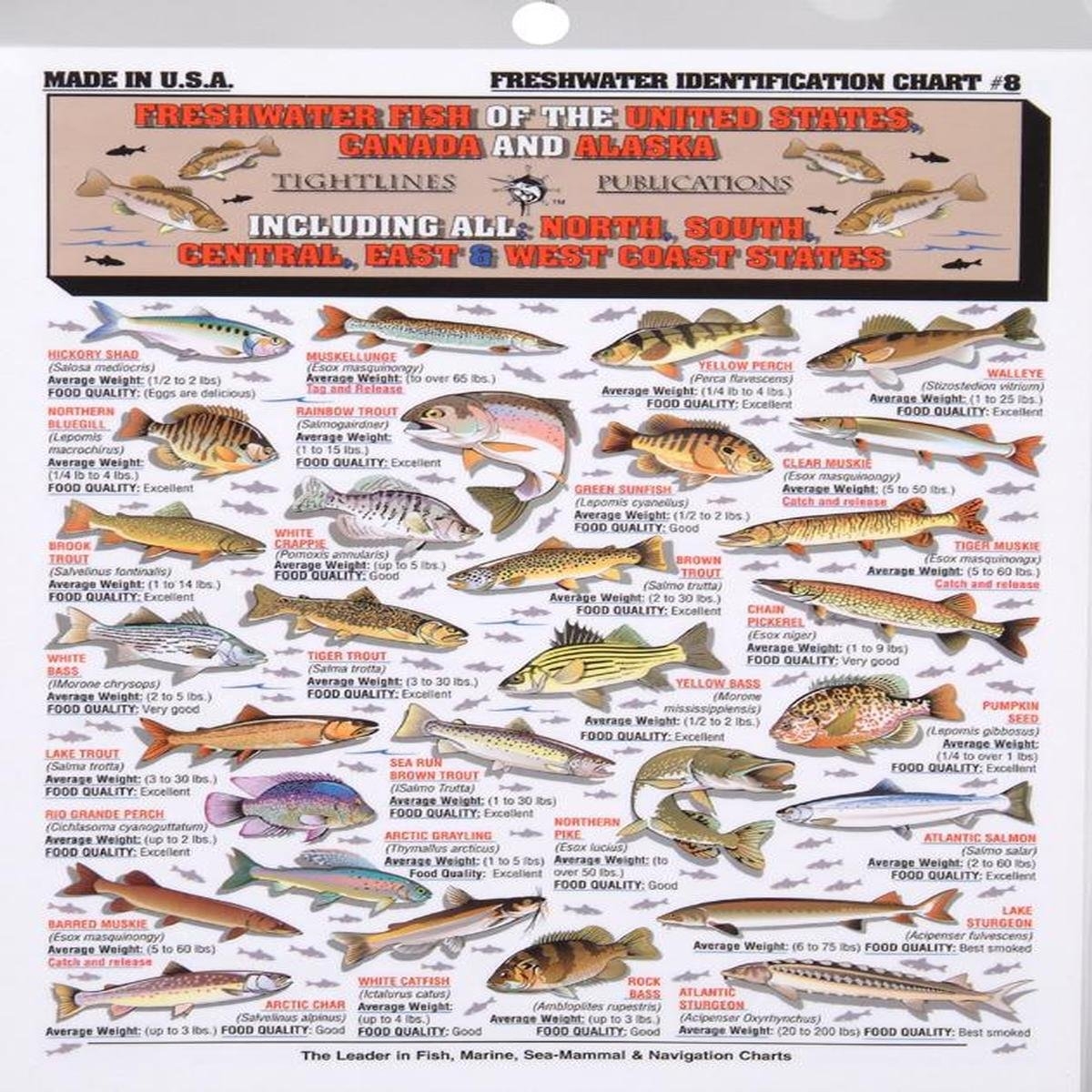 Florida Freshwater Fish Chart Waterproof Freshwater Fish ID Chart 8 Macks Prairie Wings Fish Identification Chart Florida Freshwater Fish Chart Waterproof Freshwater Fish ID Chart 8 Macks Prairie Wings Fish Identification Chart