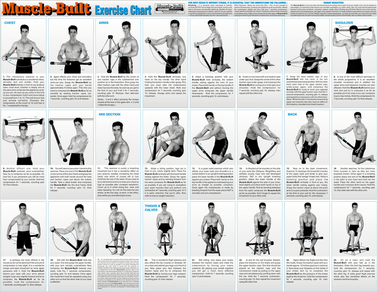 Free Bullworker Wallchart Isometric Exercise Training Planner Nick Litten IBM I AS400 ISeries Software Developer
