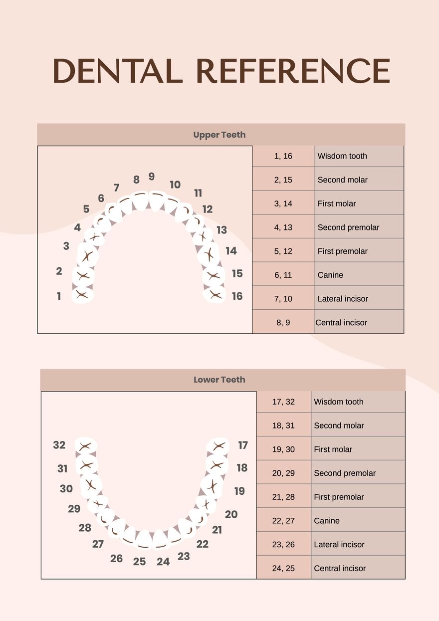 Free Dental Chart Templates Editable And Printable