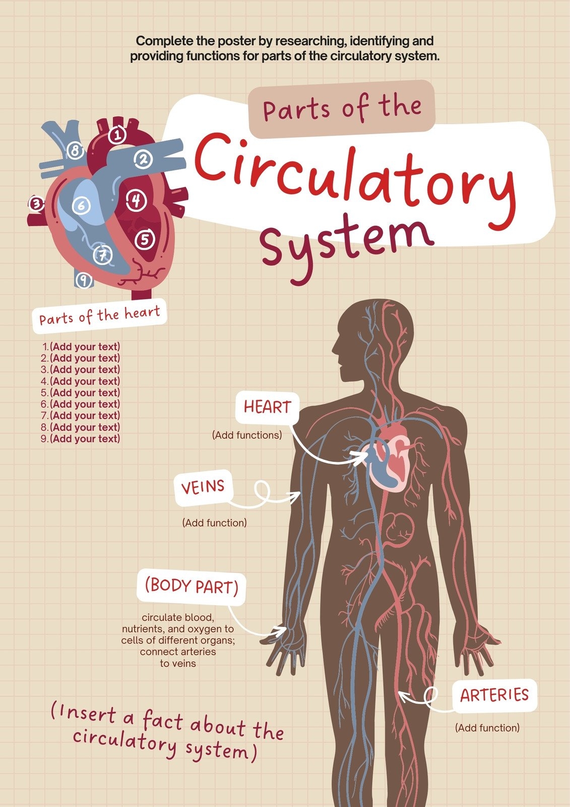 Printable Body Systems Chart