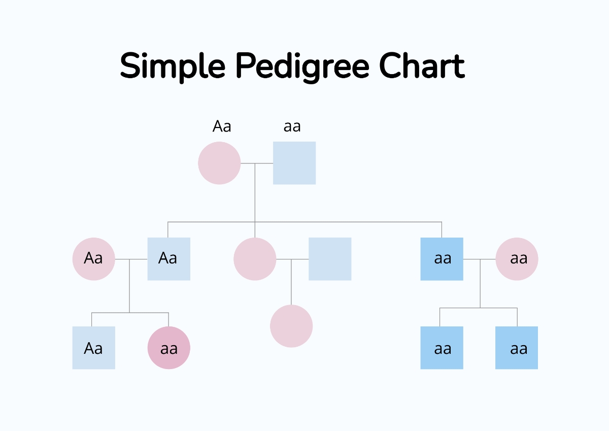 Free Simple Pedigree Chart Template To Edit Online