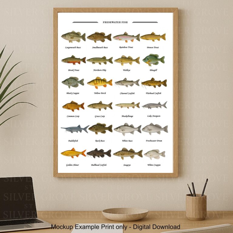 Freshwater Fish Poster Angler Species ID Chart digital Download A3 Size PDF JPEG Etsy