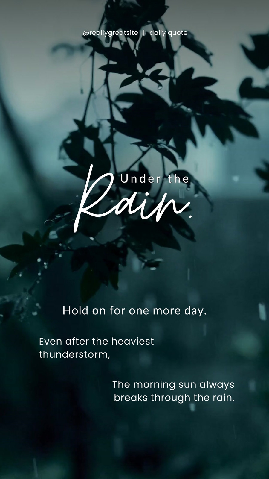 Green White Dark Simple Rain Daily Quote Mobile Video Green White Dark Simple Rain Daily Quote Mobile Video