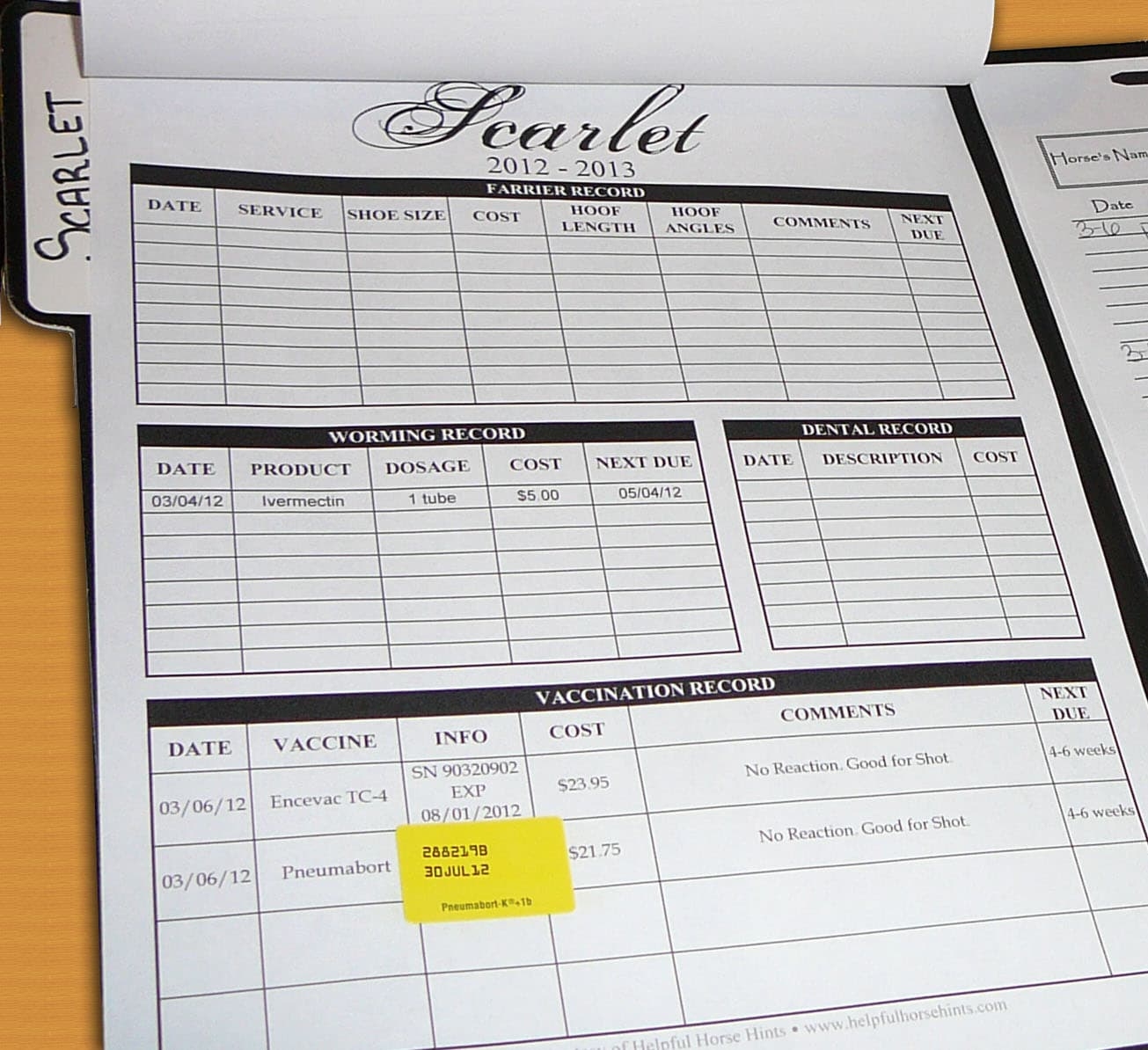 Horse Health Record Form FREE Printable PDF Helpful Horse Hints