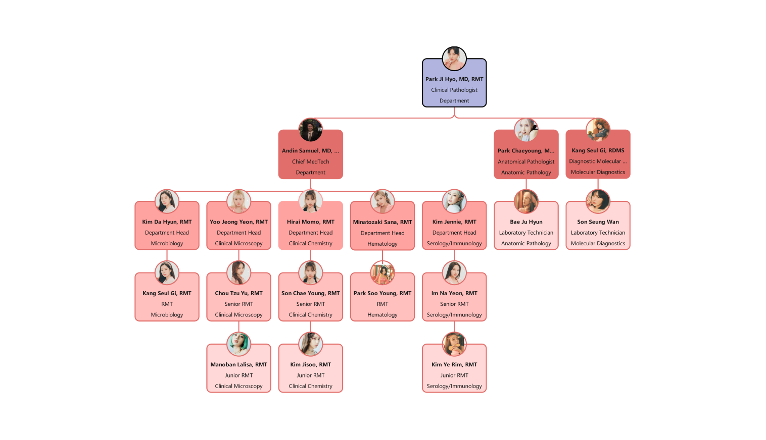Hospital Organizational Chart Template Hospital Organizational Chart Template